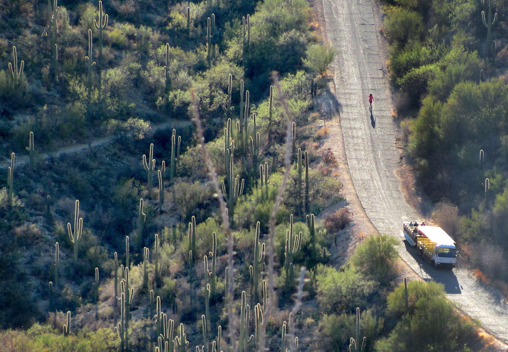 Canyon tram